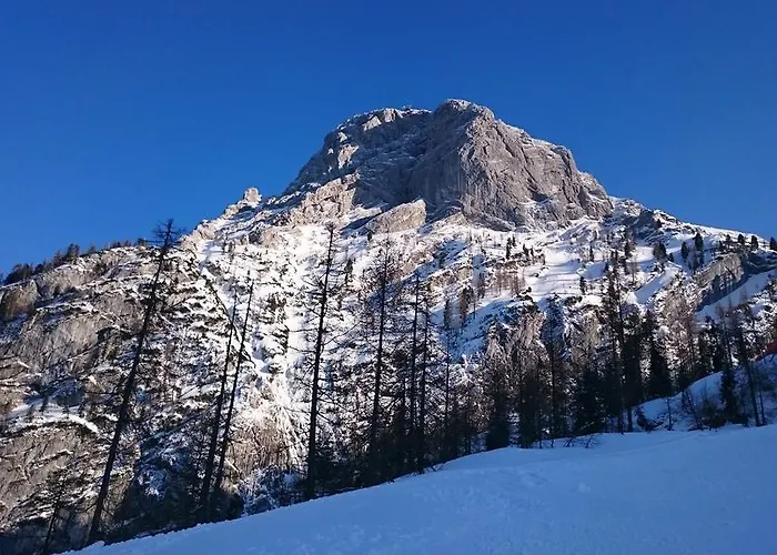 Apartment Obertraun Apartment Obertraun