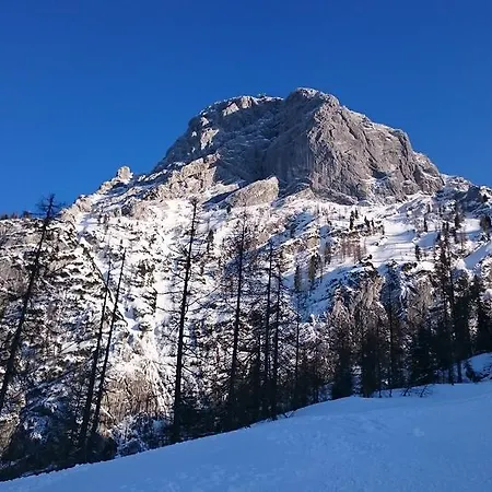 Apartment Obertraun Apartamento Obertraun