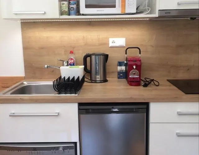 Apartment Obertraun Διαμέρισμα